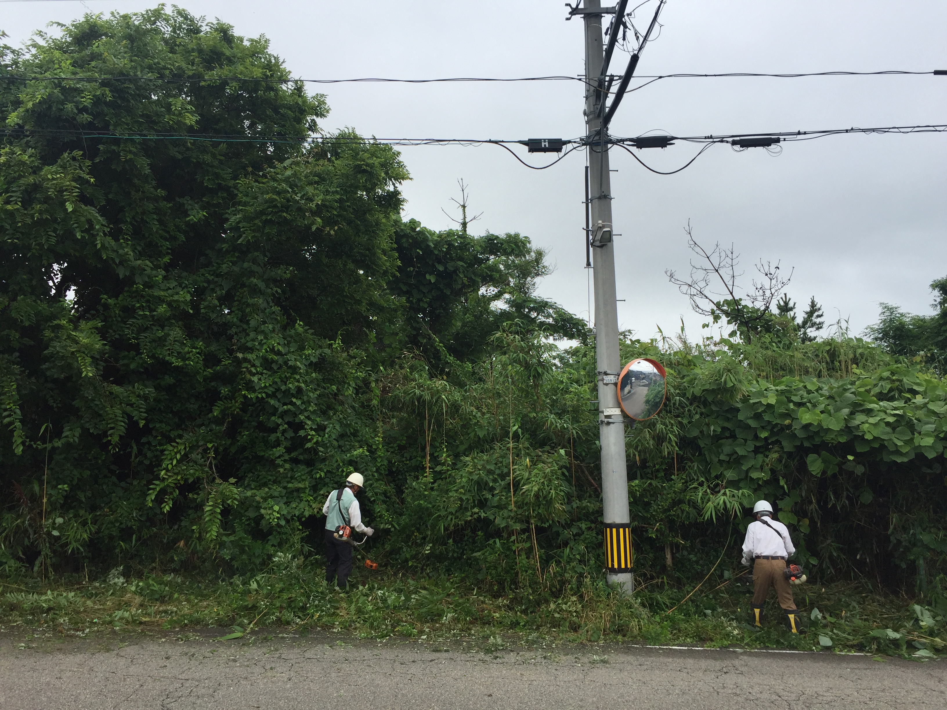 クサカルゴン施工前